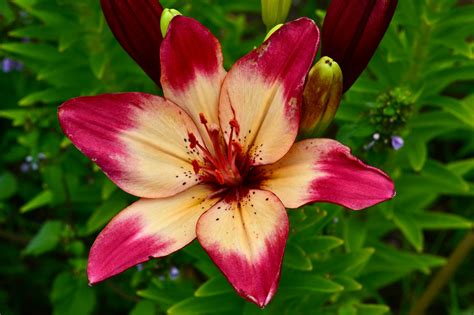 Benefits of being a Wholesale Client - Ratings