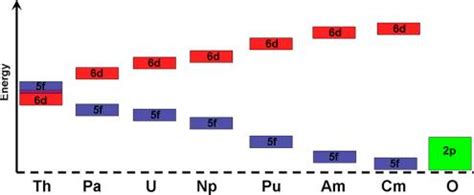 Schematic of the atomic orbital energy levels for Th, Pa, U, Np, Pu ...