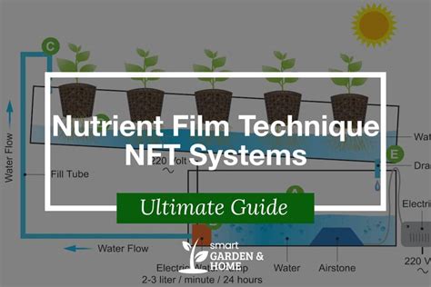 Nutrient Film Technique Nft Systems Complete Guide Smart Garden And Home