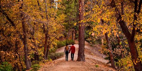 Discover The Fall Season Of 2023 In Big Bear Lake Ca Big Bear Lake Ca