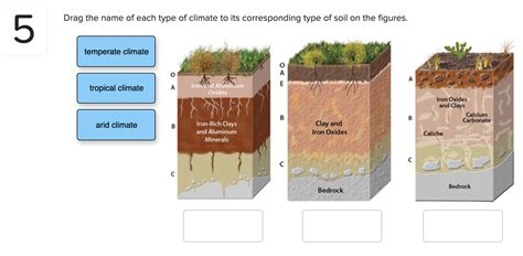 Solved Drag the name of each type of climate to its | Chegg.com