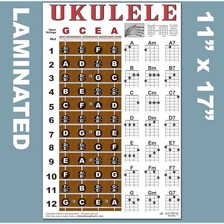 Amazon Laminated Ukulele Fretboard Notes Easy Beginner Chord