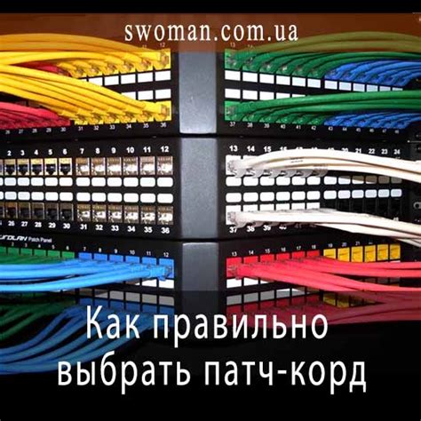 Как правильно выбрать патч-корд? Основные виды патч-кордов