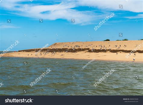 317 Berm On Beach Images, Stock Photos & Vectors | Shutterstock