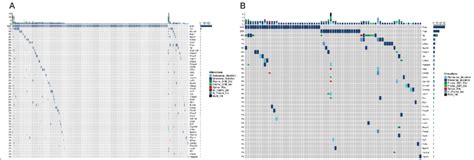 Somatic Mutation Landscapes Of Subtypes Cluster A And B