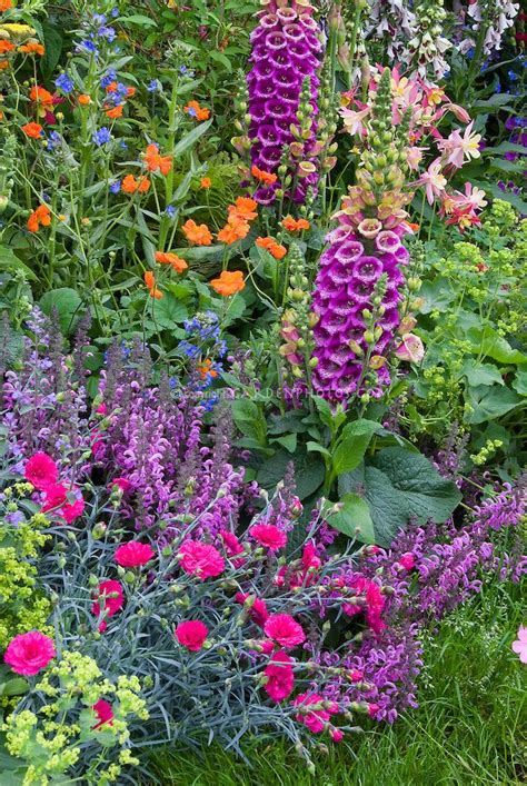 A Garden Filled With Lots Of Colorful Flowers