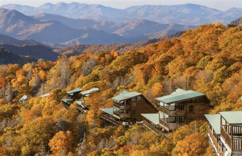 The BEST Cabins in Tennessee Mountains with Indoor Pools