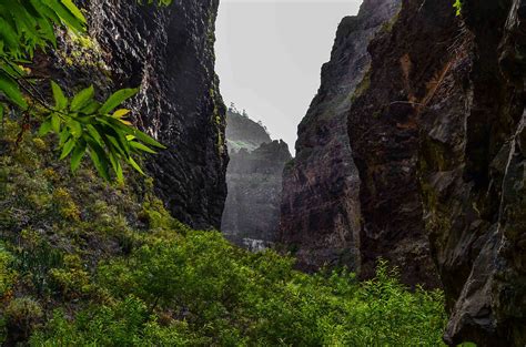 Hiking Tenerife Barranco Del Infierno