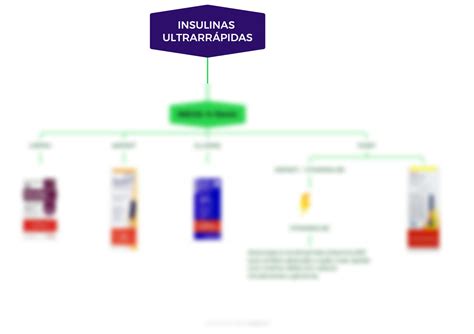 SOLUTION Mapa Mental Insulinas VI Studypool