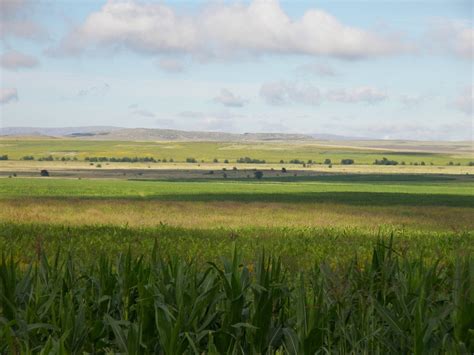 Serene Green Fields 4 Free Photo Download Freeimages