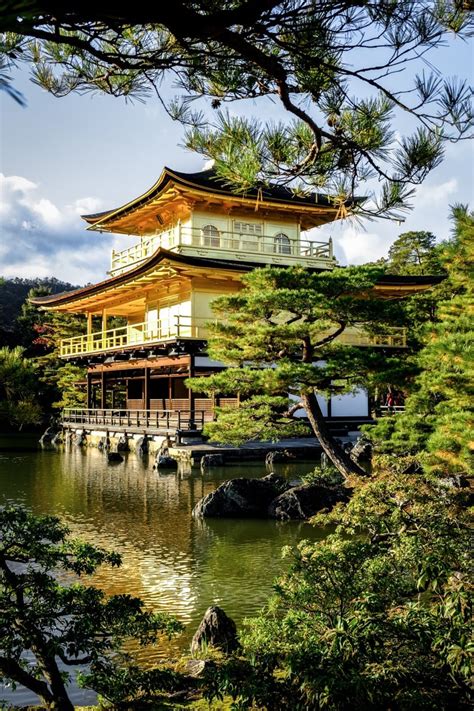 Kinkakuji Temple Golden Pavilion In Kyoto Japan