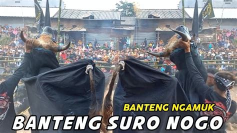 Bantengan Suro Nogo Live Made Pacet Th Gebyar Banteng Se Kec Pacet