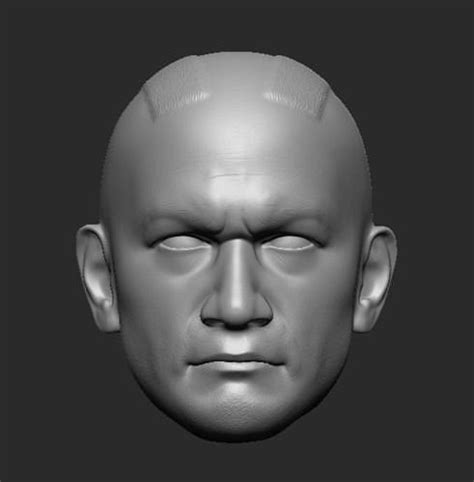 Hot Toys Style Commander Gree Head D Model