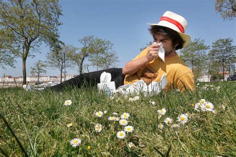 Allergies et pollens le risque encore élevé cette semaine dans le Sud