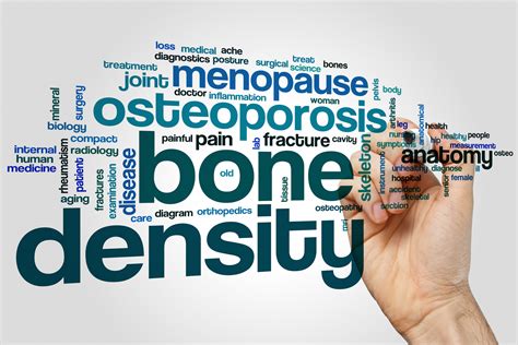 How To Boost Your Bone Density With Exercise Steven Masley Md Llc