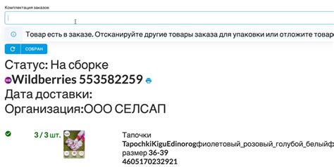 Штрафы Вайлдберриз: детальный разбор 2024