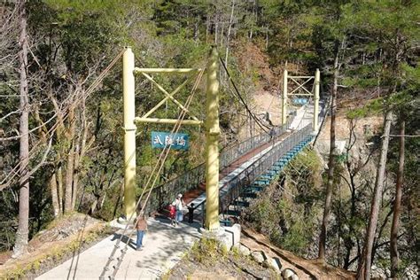 武陵桃山瀑布步道藍腹鷴現蹤 進入繁殖季節 寶島 中時