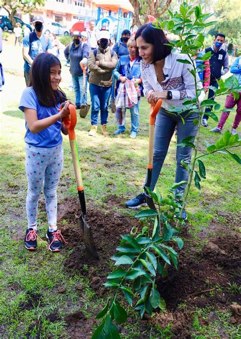 L A Lim N Emprende Jornada De Reforestaci N En La Alcald A Lvaro