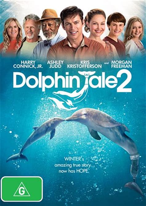 Buy Dolphin Tale 2 on DVD | Sanity