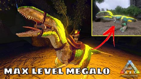 Max Level Megalosaurus Taming And Breeding Ark Survival Evolved