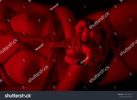 Sexy Woman Erotic Lingerie Shibari Love Stock Photo 1562495551 Shutterstock