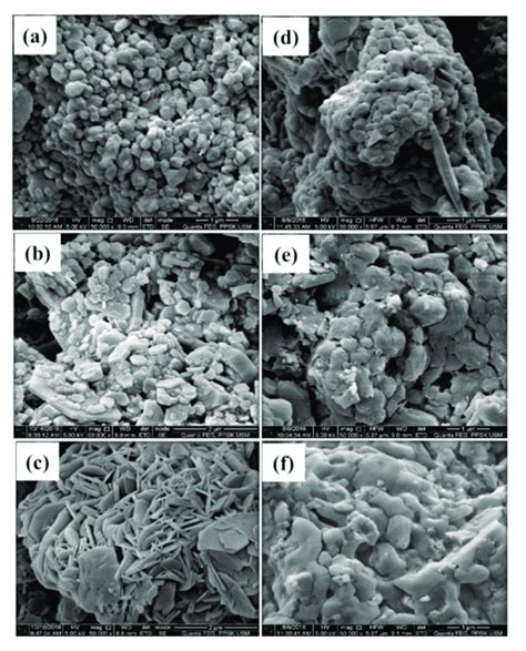 Fesem Images Of Caco Prepared In A D Ethanol B E Methanol And