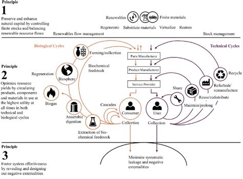 Circular Economy System Diagram Adapted From Ellen Macarthur Hot Sex