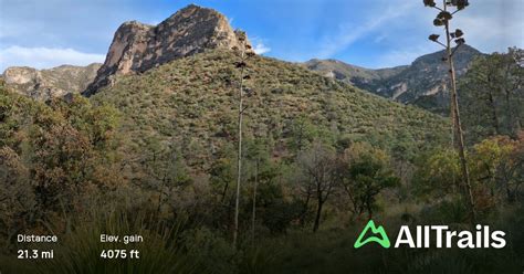 McKittrick Canyon Trail, Texas - 158 Reviews, Map | AllTrails