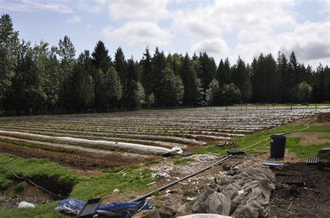 Making A Living Small Farm Forum At Permies