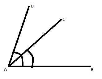 Solved Draw Rough Diagram Of Two Angles Such They Have One Point In