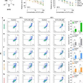 Fu Significantly Inhibited Cell Viability And Induced Cell Apoptosis