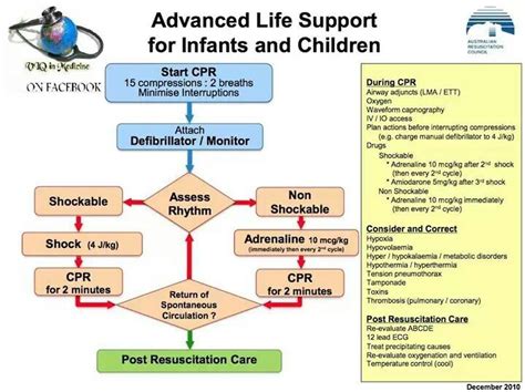 Acls Algorithms Artofit