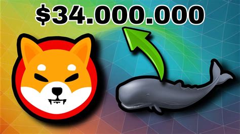 NUEVA MEGA BALLENA DE SHIBA INU COMPRA CASI 34 MILLONES DE DÓLARES