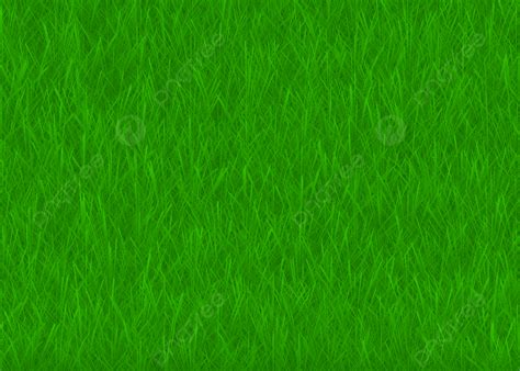 Realistic Grass Vector Background Vector Grass Background Green Lawn