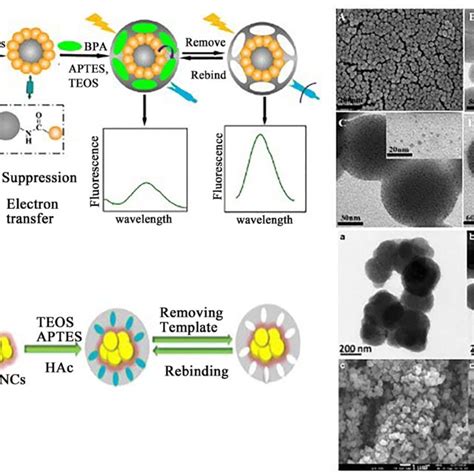 Synthetic Routes Left And Characterization Right Of Nanoclusters Download Scientific