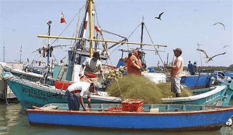 Gobierno Regional De Piura Realiz Taller Sobre La Ley De Pesca