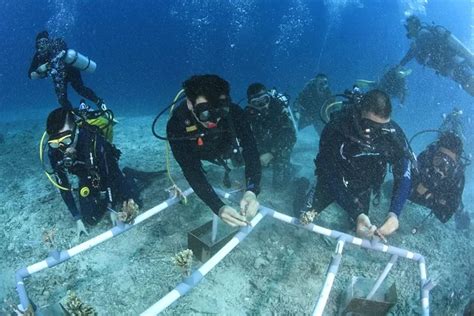 Jaga Ekosistem Lingkungan Danrem Wira Bhakti Mataram Pimpin Tanam