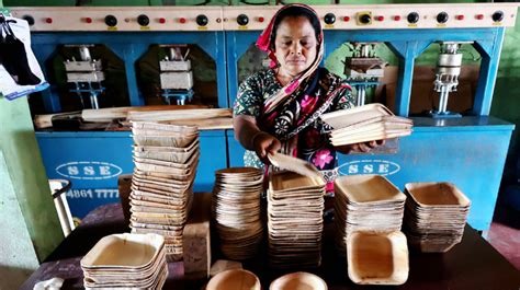 Utensils from betel nut tree leaves - Bangladesh Post