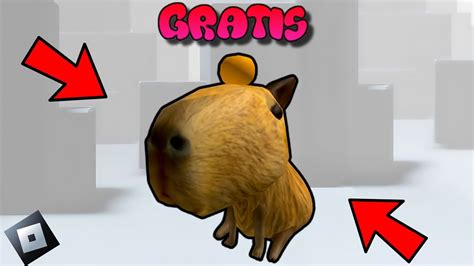 Gratis Capibara En Roblox Como Obtenerla F Cil Y R Pido Youtube