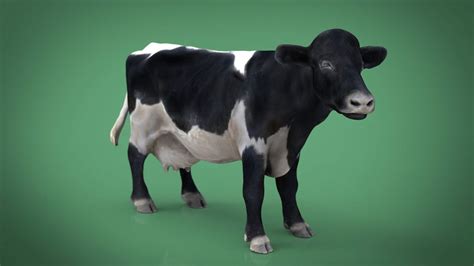 Cows 3d Models Sketchfab 47 Off