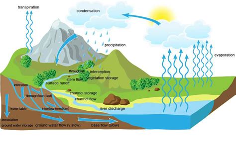 Drainage Basin System Vocabulary Diagram Quizlet