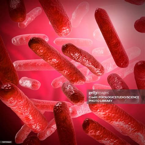 Bacteria Illustration High-Res Vector Graphic - Getty Images