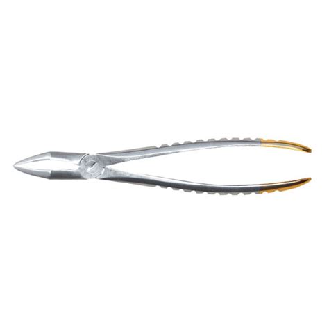 Buy Extracting Forcep A Upper Roots Online Morris Medray Dental