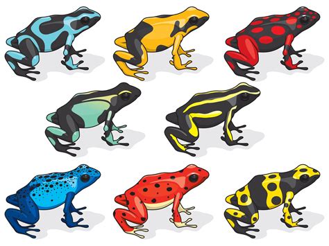 Dart Frog Coloring Pages - Coloring Pages Ideas