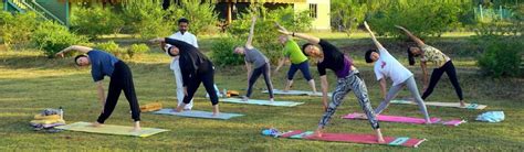 Yoga And Meditation Retreats For Beginners India Blog Dandk