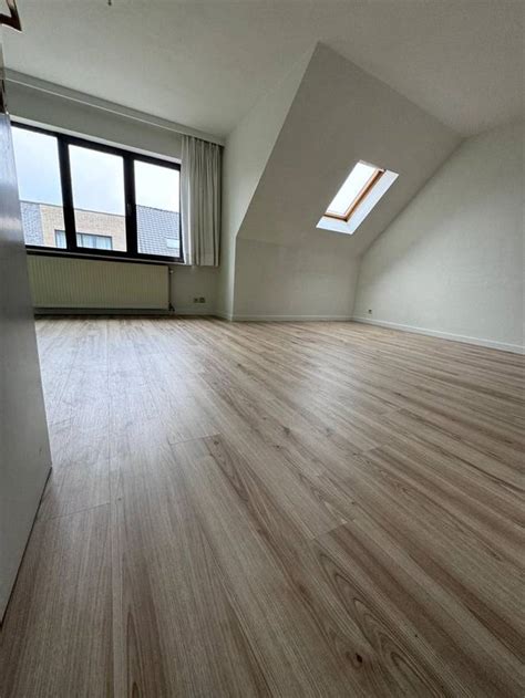 Appartement Te Huur Sint Niklaas 9100 Immoscoop