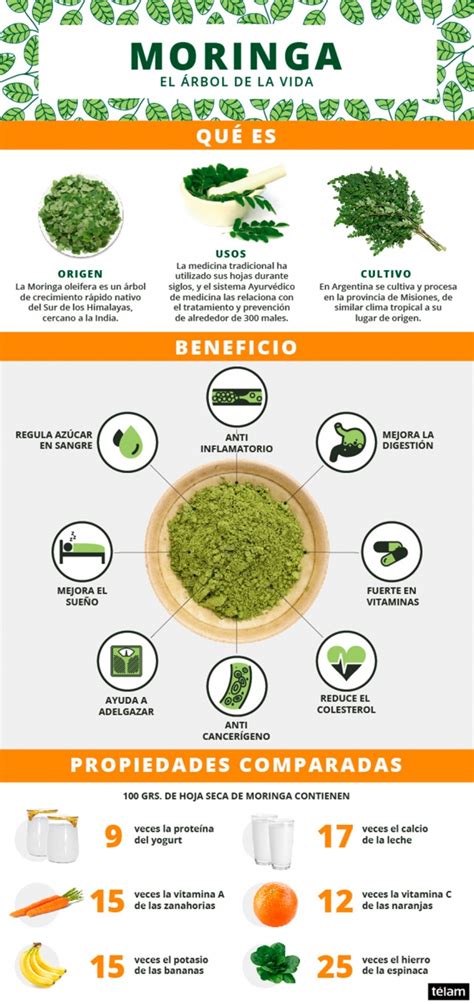 Moringa Un Superalimento Nutritivo