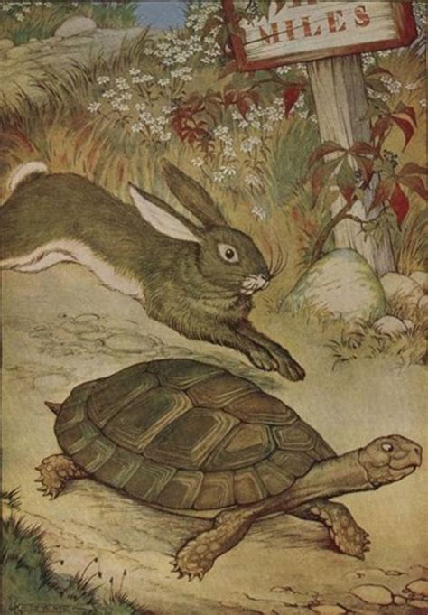 Aesop S Fables The Hare And The Tortoise