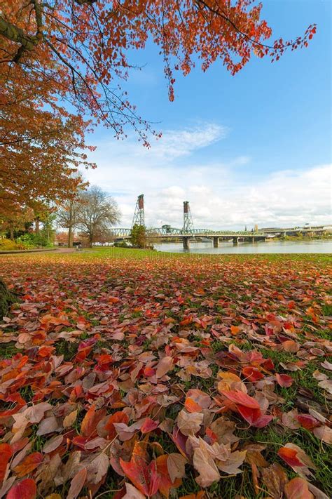 Portland Oregon Downtown Waterfront Park Autumn Stock Image Image Of