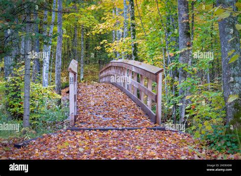 The Hiking Trails Into The Saint Peters Dome Recreational Area In The